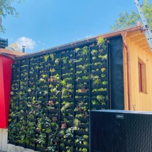 Read more about the article Mut zu Grün! Moderne Gebäude- & Fassadenbegrünung für mehr Artenvielfalt und Biodiversität