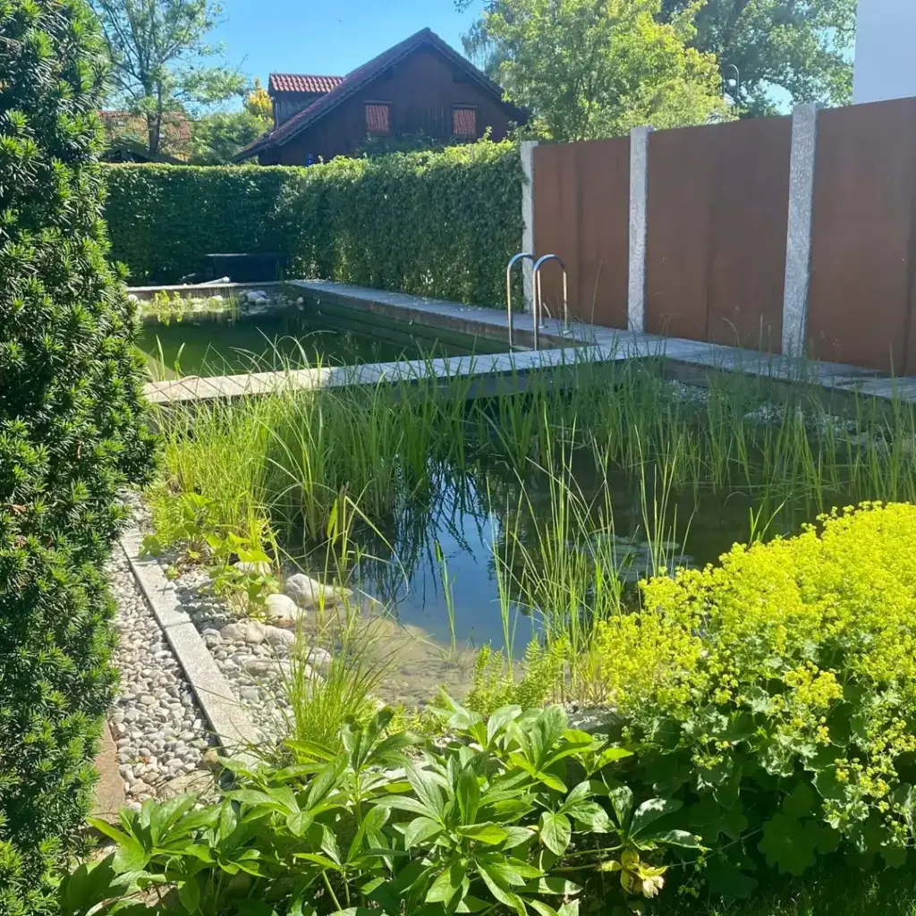 Gartenbauer Rosenheim: Natürliche Schwimmteiche und Naturpools
